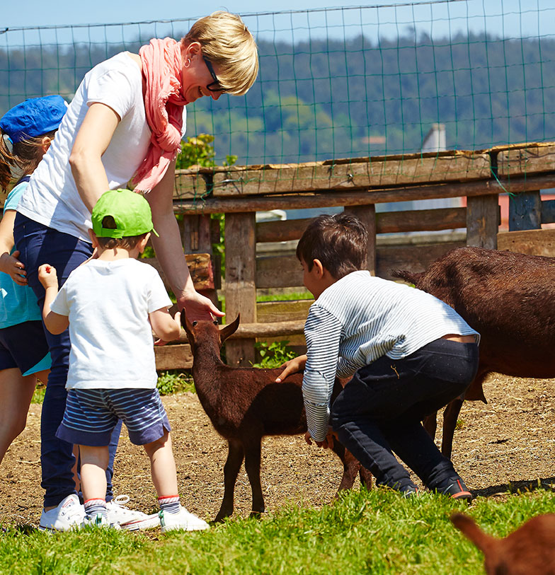 Granja ecológica ( Fotografía: Los Caserinos)