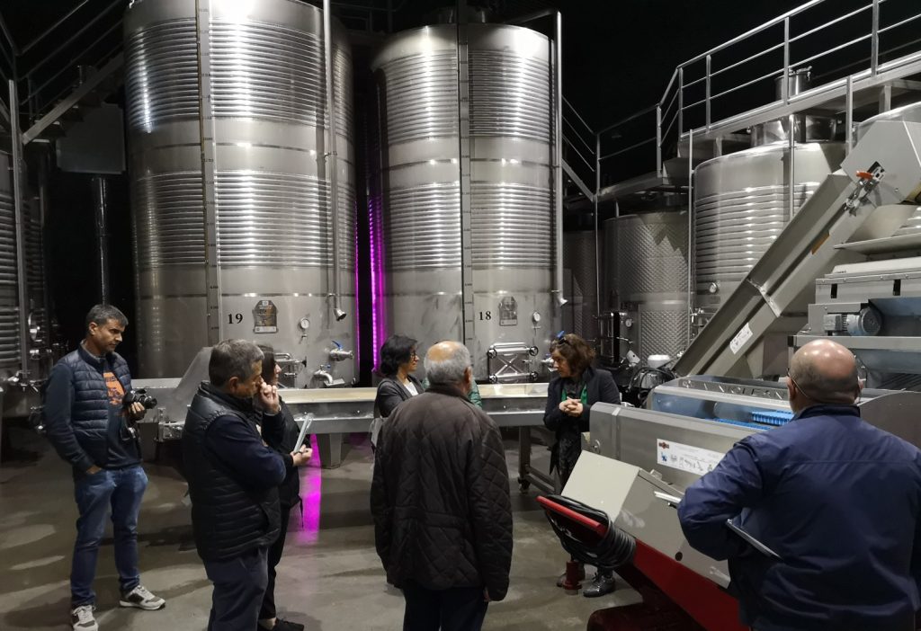 Visita a bodega Regina Viarum - Viaje prospeccion sidraturismo